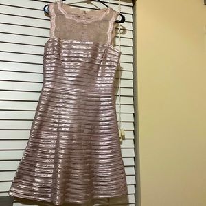 Gianni Bini A-line Lace/Satin Dress